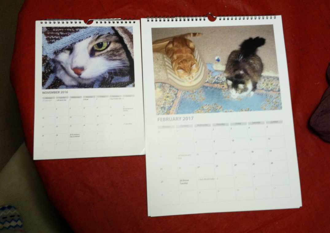 cat calendars